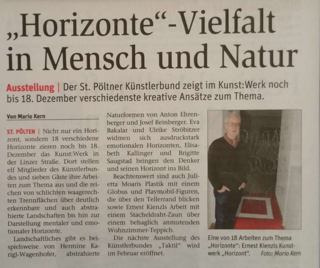 NÖN-Artikel